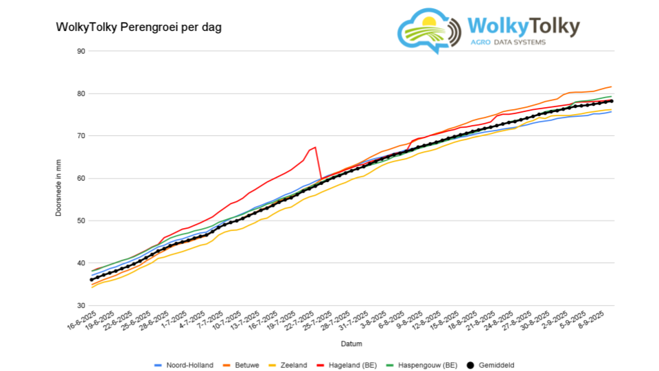 Gráfico das últimas medições de crescimento das peras da safra 2025 (10 de setembro)