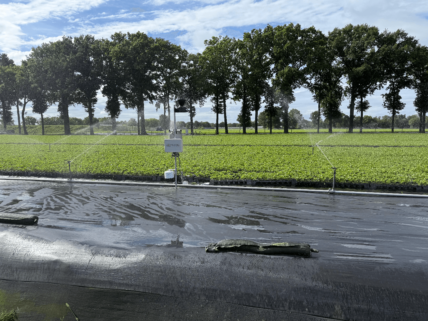 Painel com a visão geral da instalação de drenagem na produção de mudas de morango