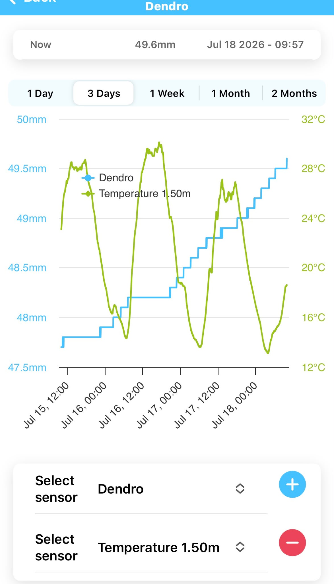 Crescimento das peras, semana 29 – a onda de calor ficou para trás