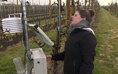 WolkyTolky helpt fruittelers bij nachtvorst ❄️