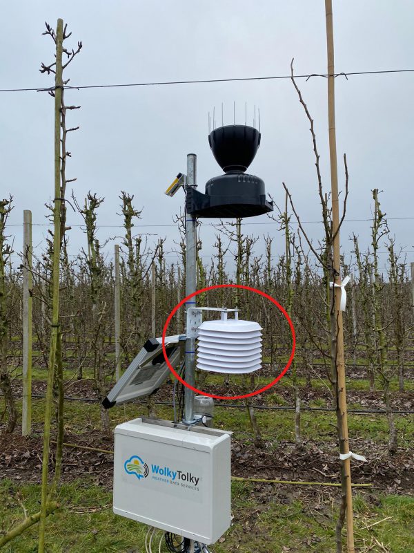 Medición de la temperatura de bulbo seco