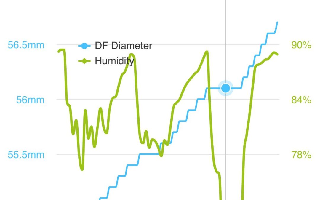 Van Noord-Holland tot Haspengouw: De Perengroei in Week 29 Onder de Loep