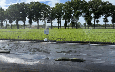 Primeur: Drain Monitoring Systeem nu ook in de opkweek van aardbeien‑trayplanten