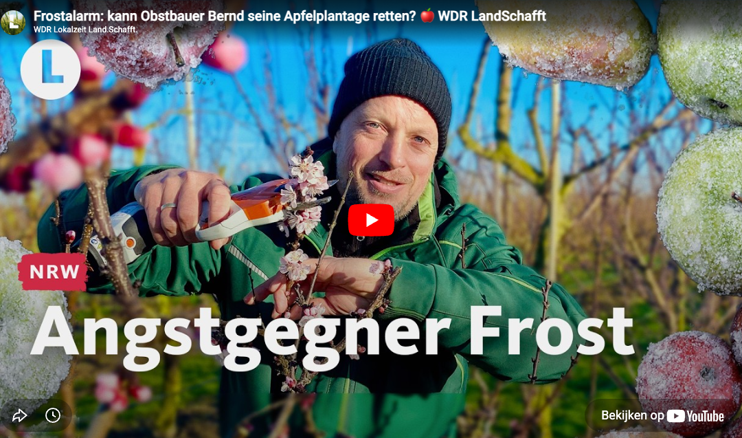 Angstgegner Frost