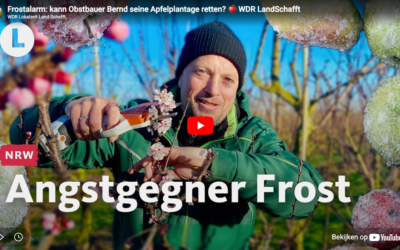 Nachtvorst in de boomgaard – Waarom Bernd Schumacher kiest voor de data van WolkyTolky